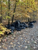 Foto: Illegale Entsorgung von Altreifen im Wald bei Groß Glienicke  