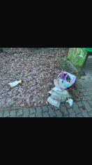 Foto: Bushaltestelle Strandallee 