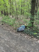 Foto: Illegale Müllentsorgung im Wald 