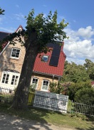 Foto: herabfallende Äste  