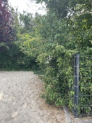 Foto: Wildwuchs auf dem Piratenspielplatz am Hartplatz 