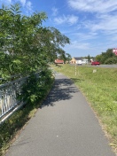 Foto: Rad- und Fußweg durch Wildfuchs eingeschränkt  