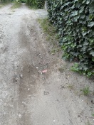 Foto: Schlaglöcher Akazienweg  