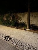 Foto: Poller rausgerissene  