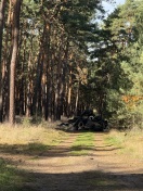 Foto: Reifen entsorgt 