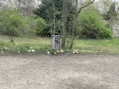Foto: Mülleimer voll 