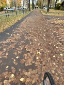 Foto: Kehrmaschine > Webschulallee > Radweg > Müllfahrzeug  