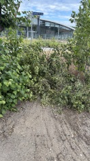Foto: abgebrochener großer Ast 