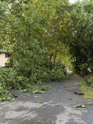 Foto: Straße durch 2 riesige Äste nicht befahrbar 