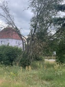 Foto: Baumbruch nach Unwetter  
