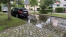 Foto: Gully verstopft  