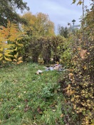 Foto: Müll am Wasser/Glindower See  