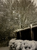 Foto: Mehrere Strassenlaternen ausgefallen seit mehreren Tagen 