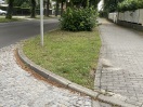 Foto: Staßenbaum verhindert Verkehrssicherheit  