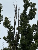 Foto: Akute Verletzungsgefahr Delphinbad  