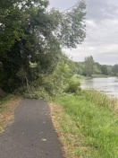 Foto: Baum umgefallen 