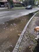 Foto: Straßenablauf verstopft  