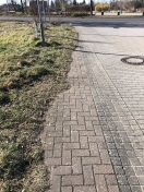 Foto: Fußgängerweg nun seit Jahren mit Gras überwuchert - Freiwalde 