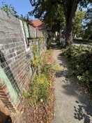 Foto: Fußweg wuchert zu.  