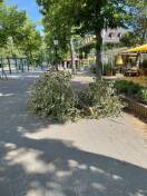 Foto: Astabbruch 