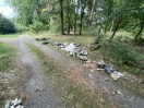 Foto: Wilde Deponie 