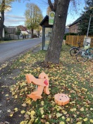 Foto: Buddy ist defekt  