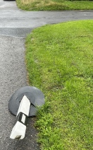 Foto: Parkpoller 
