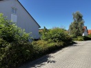 Foto: Rückschnitt / Entfernen Büsche und Robinien 