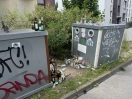 Foto: Flaschencontainer übervoll / Glasscherben auf der Straße 