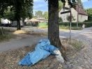 Foto: Wilde Müllablagerung 