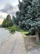 Foto: Verkehrssicherungapflicht  