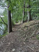 Foto: Umgestürzter Baum auf Wanderweg am Stadtsee 