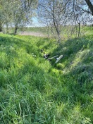Foto: Wilde Deponie 