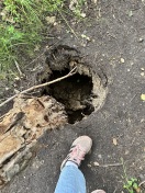 Foto: Wanderweg am Seedamm 