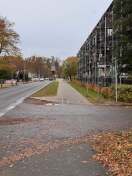 Foto: Radverkehr frei? 