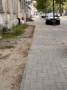 Foto: Müll auf Gehweg und Baumscheibe  