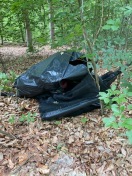 Foto: wilde Deponie 
