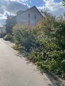 Foto: Hecke wuchert in Straße rein  