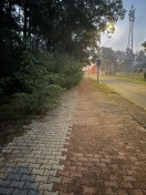 Foto: Fuß-/Radweg Schorbuser Weg 