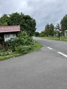 Foto: Grünschnitt notwendig an der Ecke Niemtscher Straße  