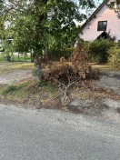 Foto: Asthaufen liegen nach dem Sturm noch da 
