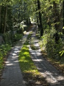 Foto: Straße überschwemmt  