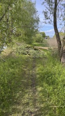 Foto: Baum umgefallen  