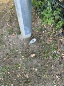 Foto: Straßenlaterne ohne Funktion 