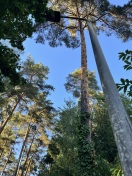 Foto: Straßenlaterne ohne Funktion  