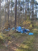 Foto: Müll im Wald/ Waldweg  