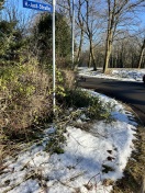 Foto: Grünverschnitt 