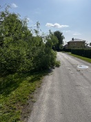 Foto: Umgestürzter Baum ohne Gefährdung 