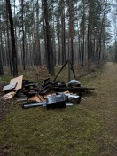 Foto: Wilde Deponie zwischen Borgsdorf und Lehnitz  