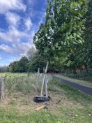 Foto: Baum droht bei starken Winden umzukippen 